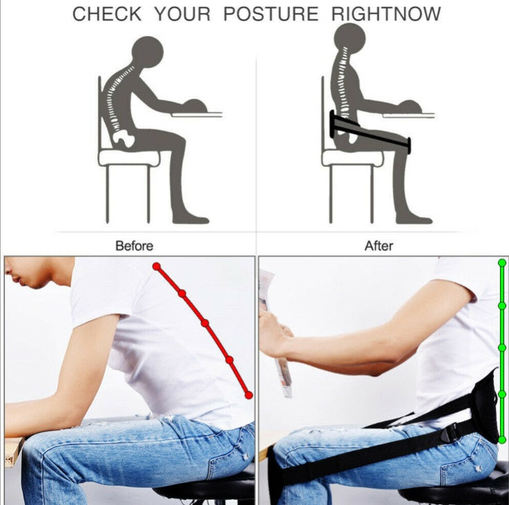 Portable Back Support Cushion – Adjustable Waist Belt for Better Sitting & Lower Back Relief