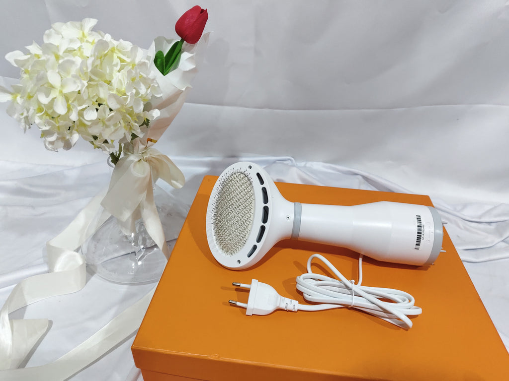 Dadypet Pet Hair Dryer – 2-in-1 Grooming Dryer & Slicker Brush for Dogs & Cats
