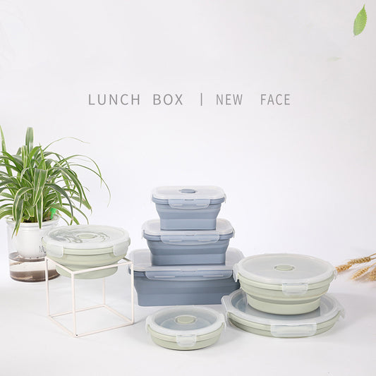 Set of collapsible lunch boxes on a white surface with a plant in the background.