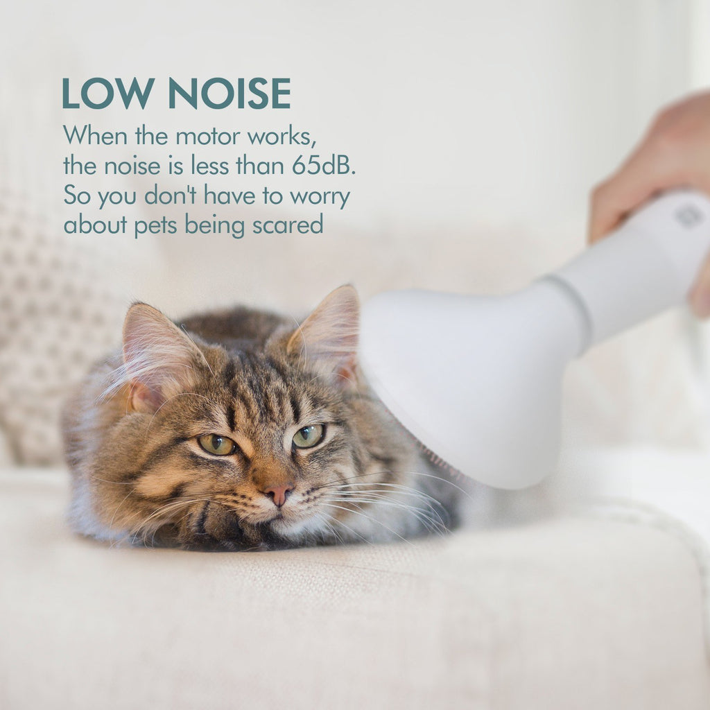 Dadypet Pet Hair Dryer – 2-in-1 Grooming Dryer & Slicker Brush for Dogs & Cats